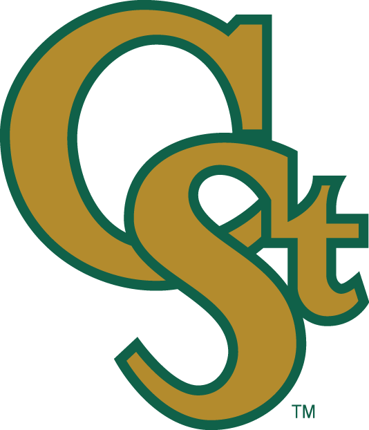 Colorado State Rams 1993-2015 Secondary Logo iron on transfers for T-shirts